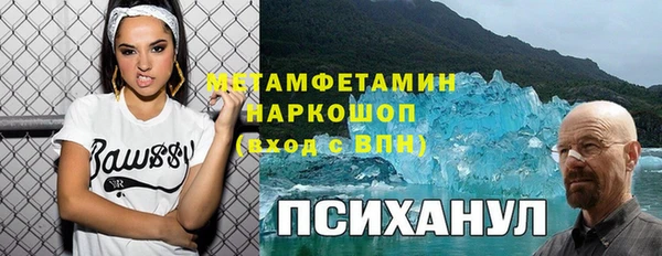 индика Нефтегорск
