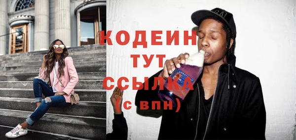 индика Нефтегорск