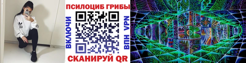 Псилоцибиновые грибы мухоморы  наркота  МЕГА маркетплейс  Скопин 