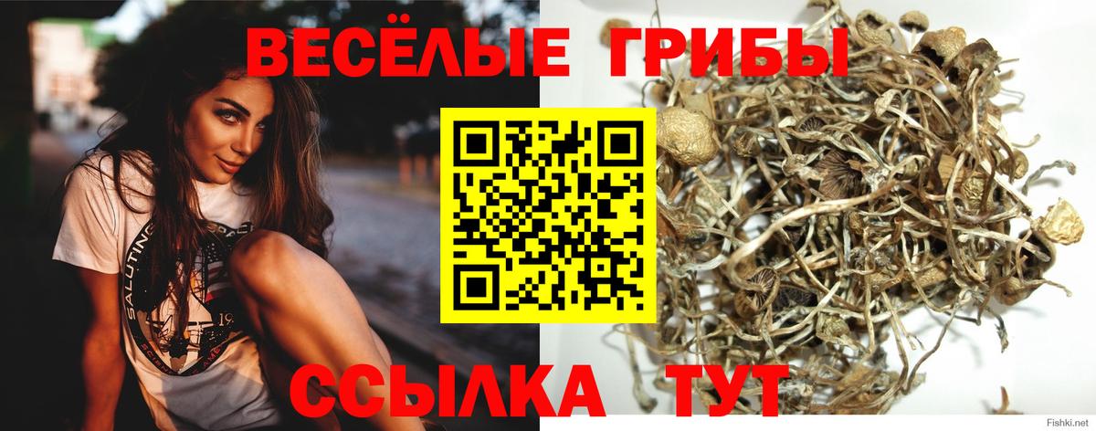 Галлюциногенные грибы MAGIC MUSHROOMS Скопин