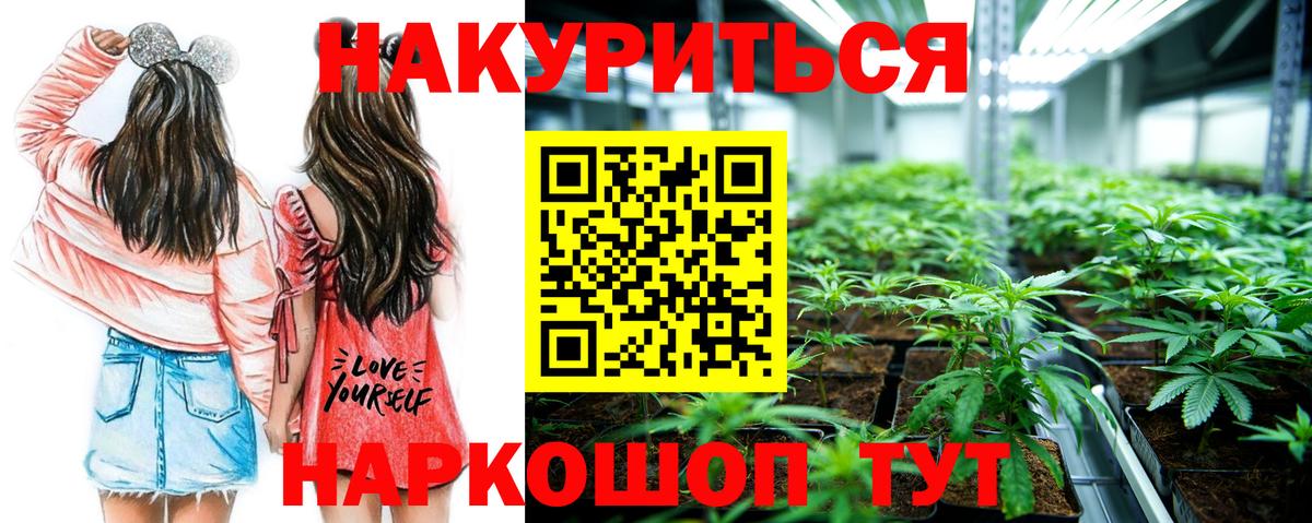 Канабис план Скопин